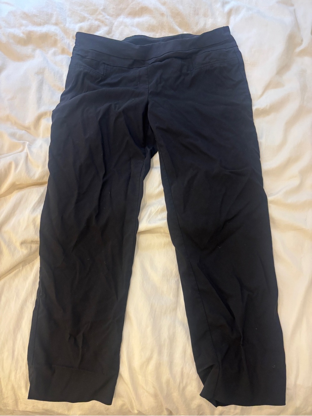 Zac & Rachel Black Pull-On Pants